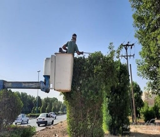 تعمیر بالابر شهرداری